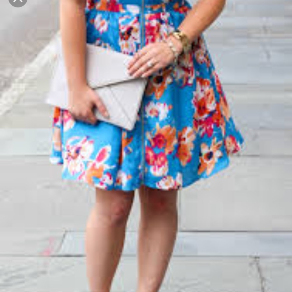 LN Jack by BB Dakota skirt sz M